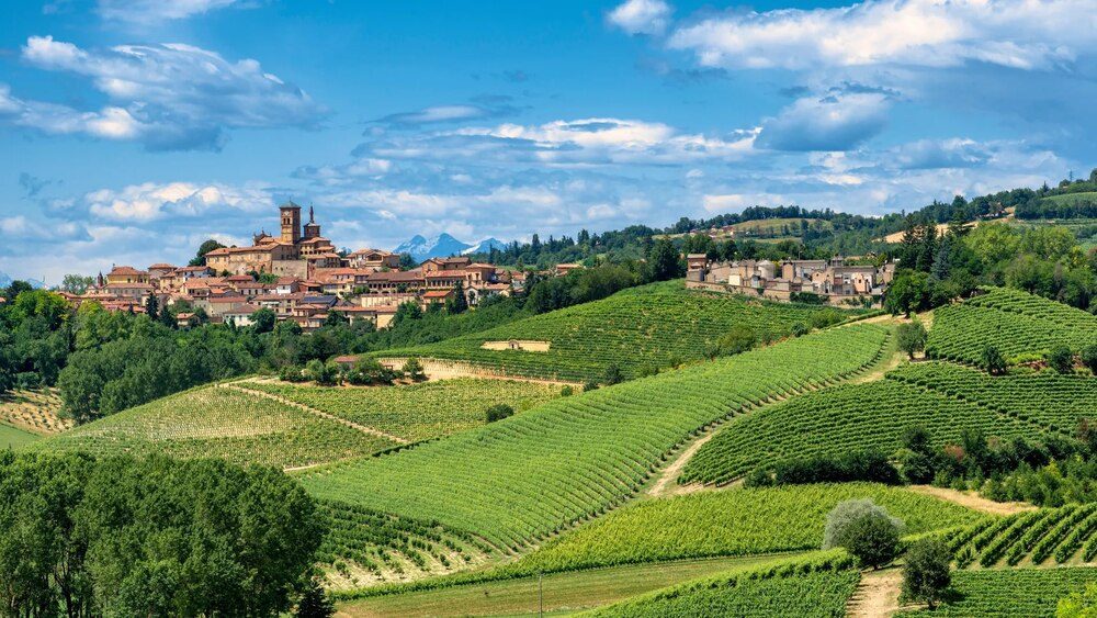 Paesaggio con Colline Primaverili del Monferrato